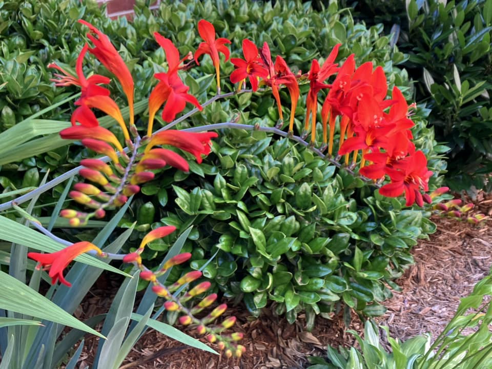 448607526_866581922177128_1707910479095931119_n